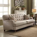 Sofa w/2 Pillows