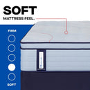 Sealy Medina II Spring Mattress