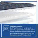 Sealy Warner Spring Mattress