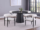 Camden 5 Pc Dining Set - Furniture Now (CA)