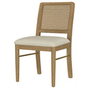 Arini Side Chairs - Furniture Now (CA)