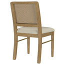 Arini Side Chairs - Furniture Now (CA)