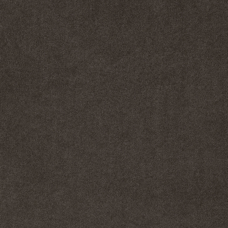 Alana Arm Chairs - Furniture Now (CA)