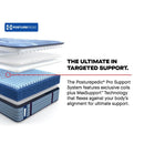 Lansdale Spring Mattress