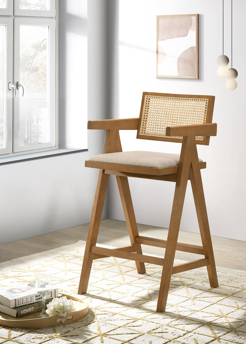 Kane Bar Stool - Furniture Now (CA)