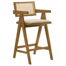 Kane Bar Stool - Furniture Now (CA)