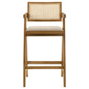 Kane Bar Stool - Furniture Now (CA)