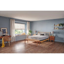 Sealy Stately Foam Mattress