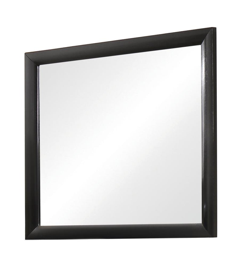 Briana Rectangle Dresser Mirror Black - Furniture Now (CA)