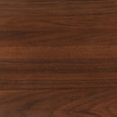 Robyn Dresser with Mirror