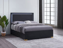 Marceline Beds White & Black Eastren King, Full, Twin, & Queen - Furniture Now (CA)