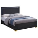 Marceline Beds 5 - Furniture Now (CA)