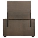 Durango Dresser With Mirror - Furniture Now (CA)