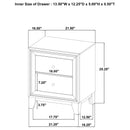 Welsley Nightstand - Furniture Now (CA)