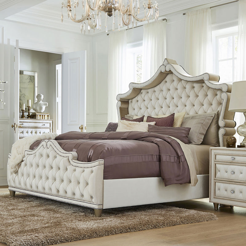 Antonella Beds - Furniture Now (CA)