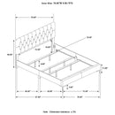 Kendall Panel Bed E.King, & Queen Black & White - Furniture Now (CA)