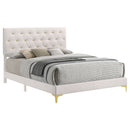 Kendall Queen Beds - Furniture Now (CA)
