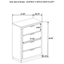 Caraway Chest - Furniture Now (CA)
