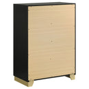 Caraway Chest - Furniture Now (CA)