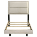 Trenton Beds - Furniture Now (CA)