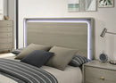 Rainier E.King Bed