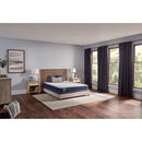 Sealy Oconee Foam Mattress