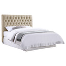 Chloe Full Headboard - Furniture Now (CA)