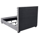 Patricia Beds - Furniture Now (CA)