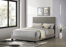 Dorian Beds 5 - Furniture Now (CA)