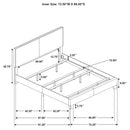 Dorian Panel Beds - Furniture Now (CA)