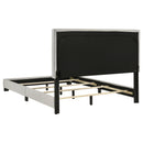 Dorian Beds 2 - Furniture Now (CA)
