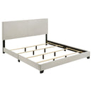 Dorian Beds 2 - Furniture Now (CA)