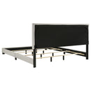 Dorian Panel Beds - Furniture Now (CA)