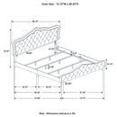 Bella Beds Cal.King & E.King, Queeen - Furniture Now (CA)