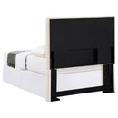 Pirro Twin Headboard - Furniture Now (CA)