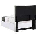 Izzy Twin Headboard - Furniture Now (CA)