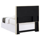 Kosmo Twin Headboard - Furniture Now (CA)