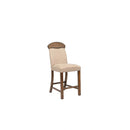 Counter Height Chair (Set-2)