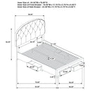 Marianna Panel Platform Storage Bed