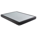 Mercer 5" Twin XL Low Profile Box Spring Foundation - Furniture Now (CA)
