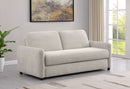 Rylie Sleeper Sofa - Furniture Now (CA)