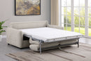 Rylie Sleeper Sofa - Furniture Now (CA)