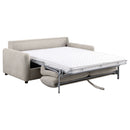Rylie Sleeper Sofa - Furniture Now (CA)