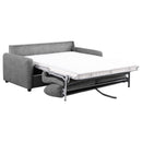 Rylie Sleeper Sofa - Furniture Now (CA)