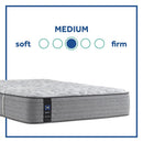 Dantley Innerspring Mattress