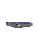 Sealy Westerfield Innerspring Mattress
