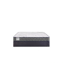 Sealy Paisley Foam Mattress