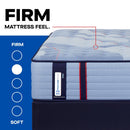 Sealy Dupont II Spring Mattress