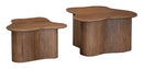 Abeford Accent Coffee Table (Set of 2)