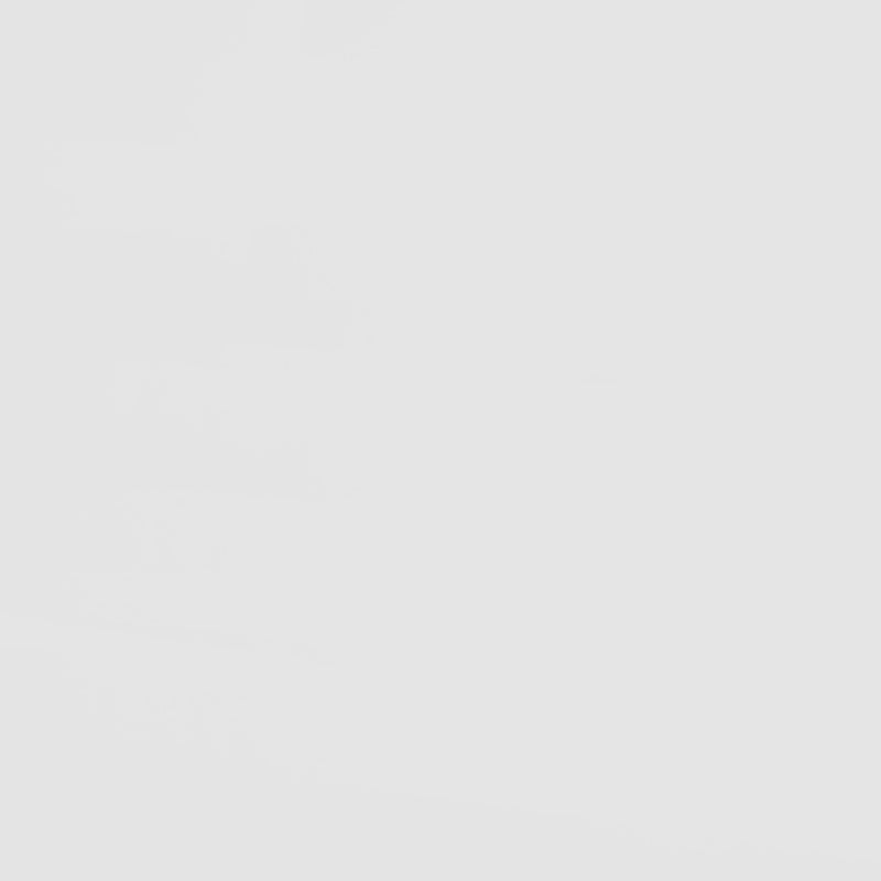 Wyatt Bunk Bed - Furniture Now (CA)